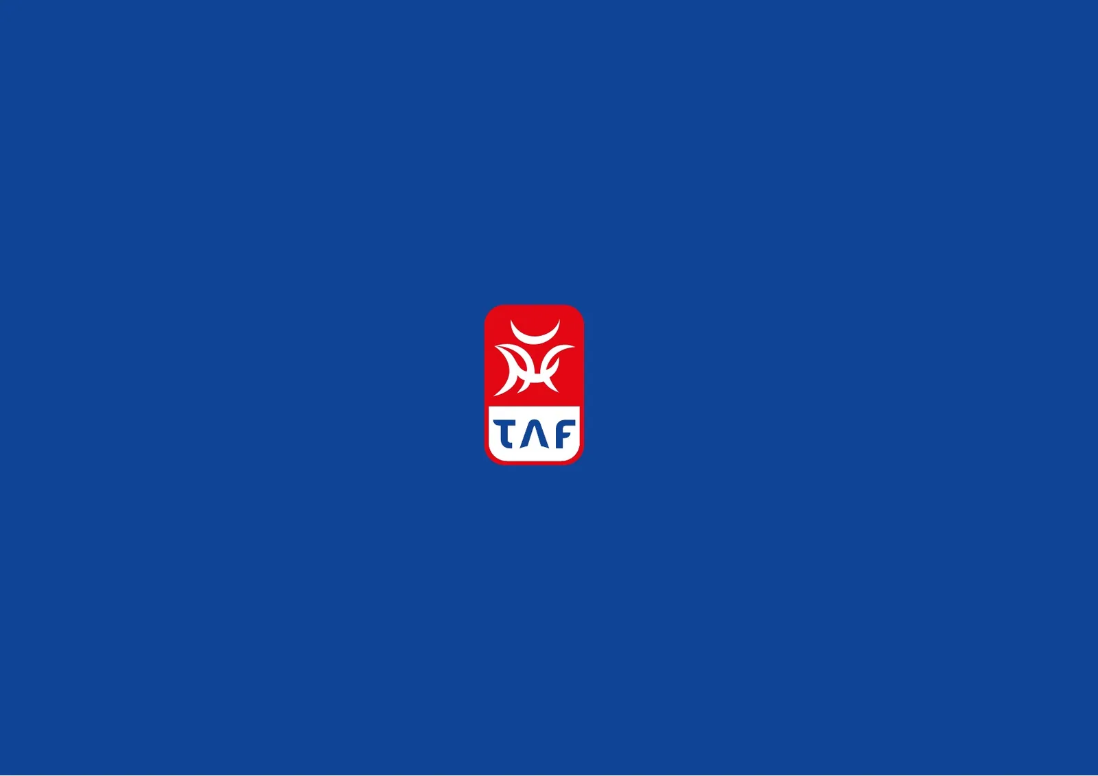 TAF, Redesign de marca e brandbook: peça 20