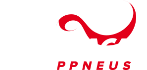 Brazaca-PPneus